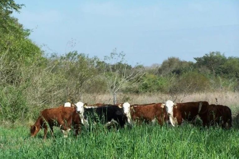 El Gobierno de Entre Ríos recuperó 124.000 hectáreas de tierras fiscales y generó nuevos ingresos para la provincia