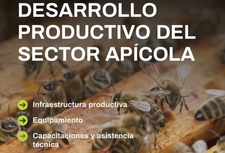 Está abierta la convocatoria para acceder a módulos de inversión apícola
